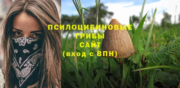 соль ск Белокуриха