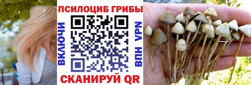 Галлюциногенные грибы мухоморы  Чудово 